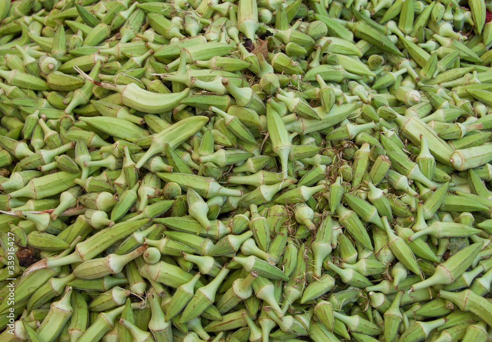 gumbo okra gumbo okra