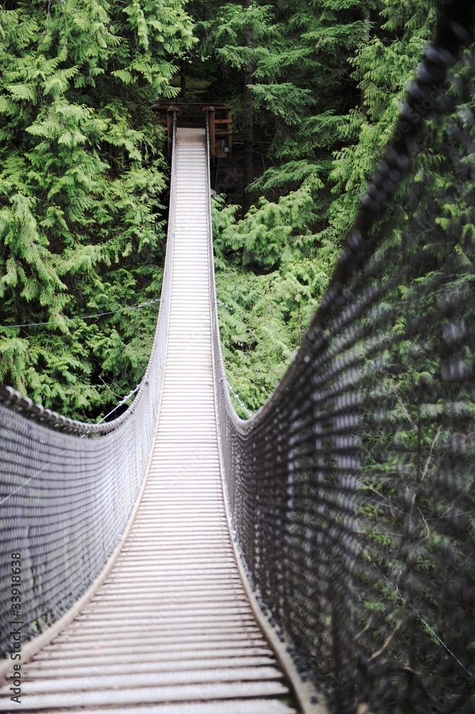 Fototapeta premium lynn canyon bridge