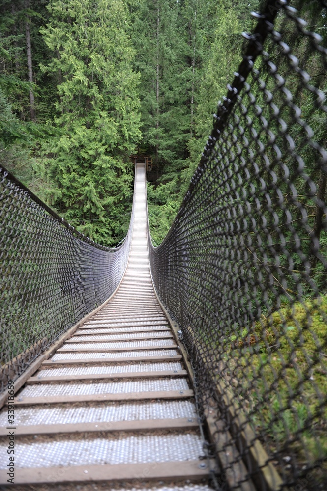 Obraz premium lynn canyon bridge