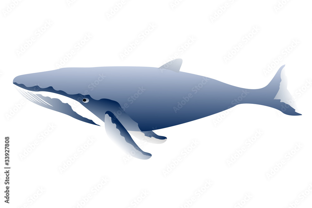 Obraz premium Sperm whale