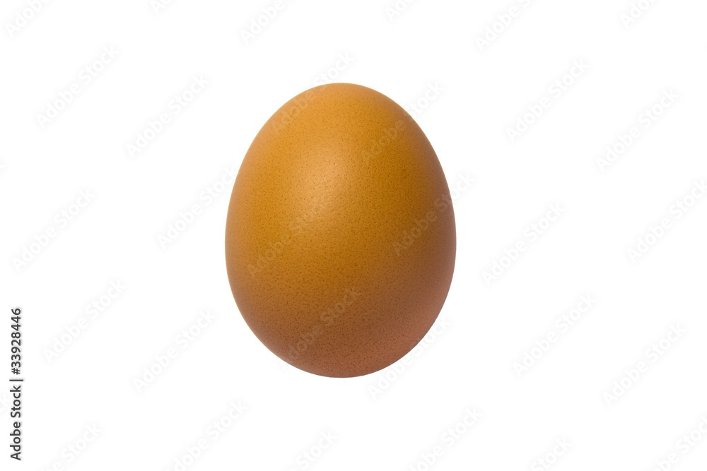 An egg on white background
