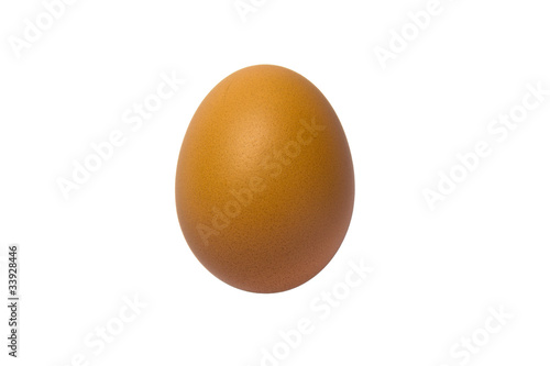 An egg on white background