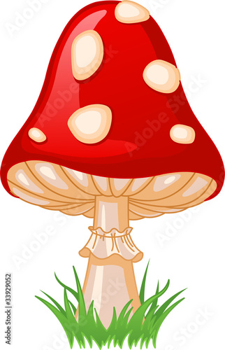Mushroom amanita
