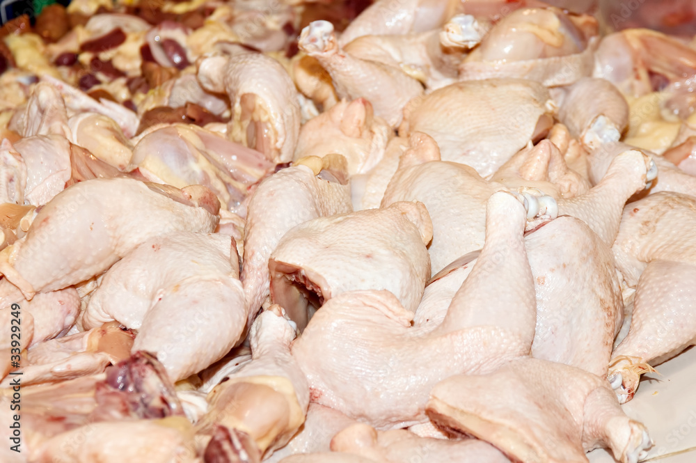 Chicken Chicken