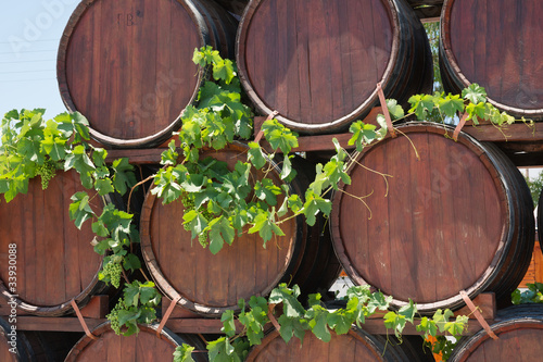 Wine barrels