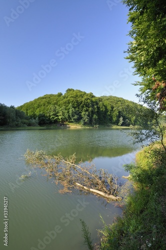 Dry tree in the lake © Croato