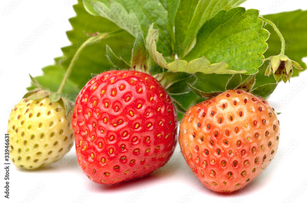 strawberry strawberry