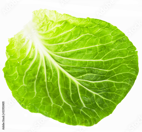 Cabbage leafe isolated on a white background