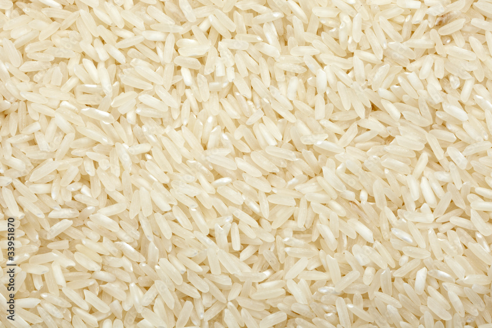 rice food rice food