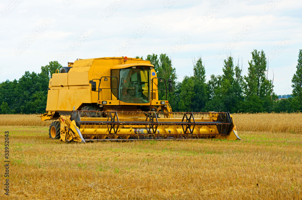 Obraz premium Mähdrescher