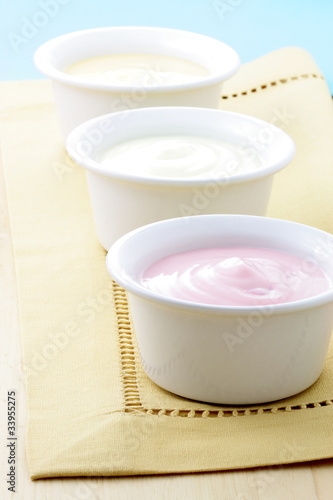 delicious fresh yogurt
