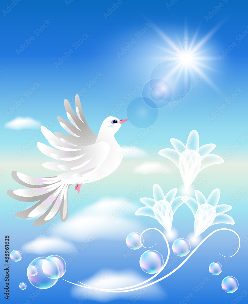 Fototapeta premium Dove in the clouds