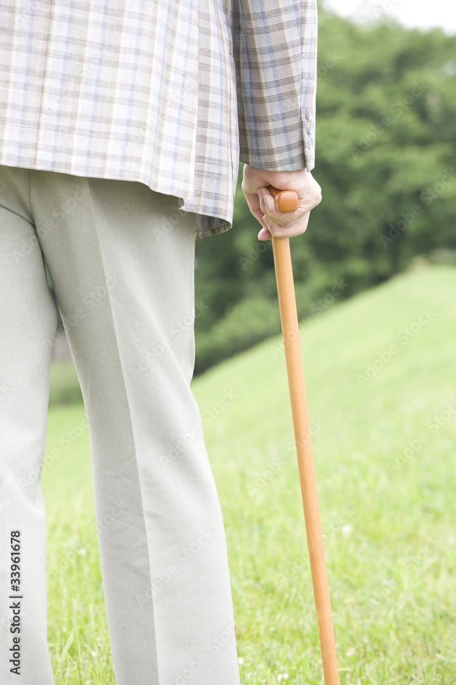 公園を杖をつきながら散歩する老人の後ろ姿 Stock 写真 Adobe Stock