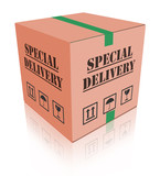 special delivery carboard box package
