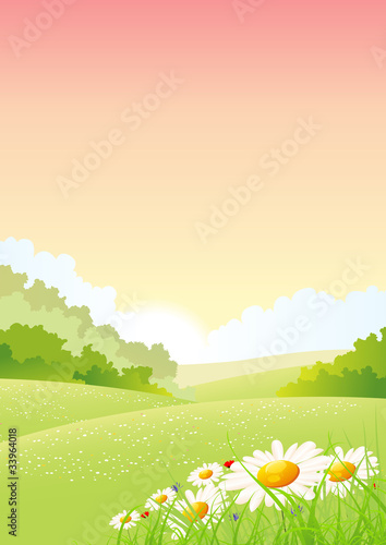 Fotografie, Obraz Summer And Spring Flowers Landscape Poster