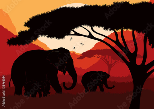 Elephant family in wild africa landscape