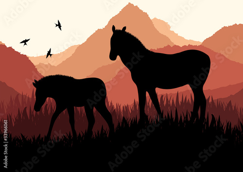 Horse in wild nature landscape