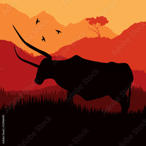 Angry bull in wild spanish country