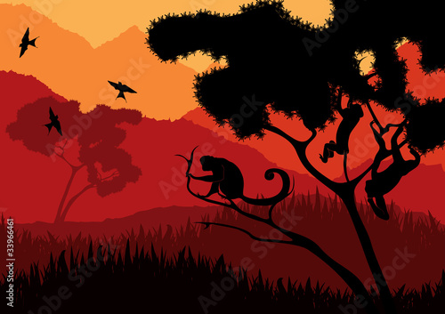 Monkey family in wild nature landscape