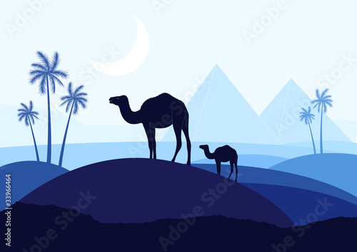 Bedouin camel caravan in wild africa landscape