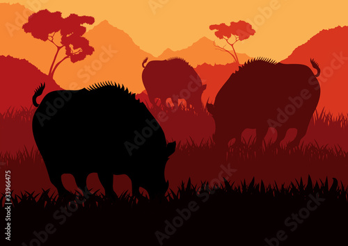 Wild boar in forest foliage © kstudija