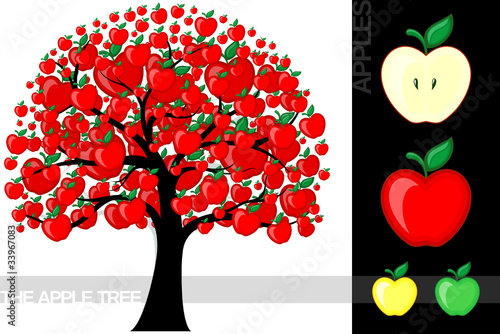 apple tree