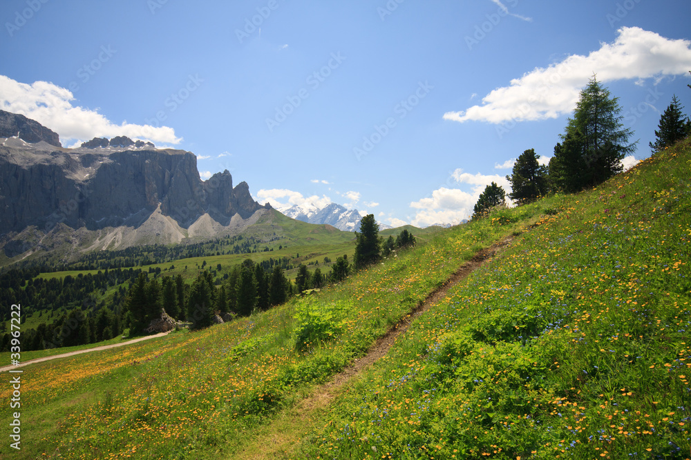 Naklejka premium Val Gardena - sullo sfondo le torri del Sella