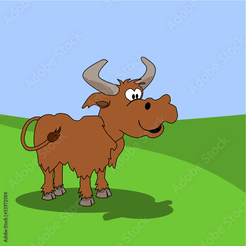 Funny cattle on a green meadow