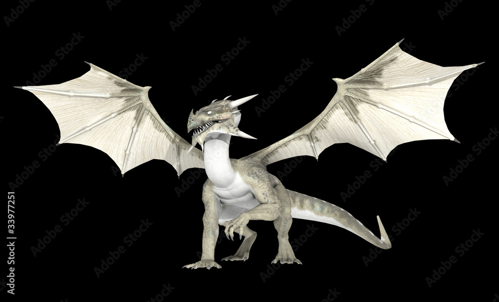 Fototapeta premium White dragon
