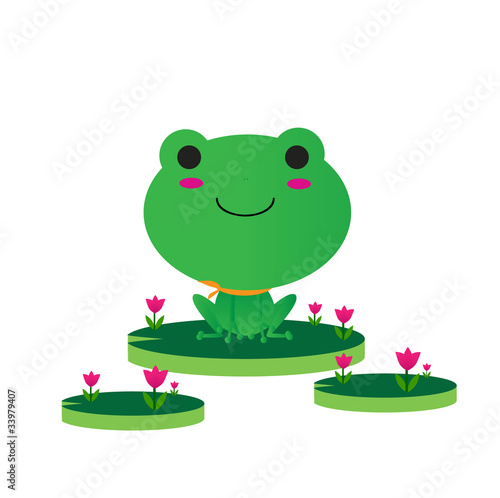 Cute Frog  Character