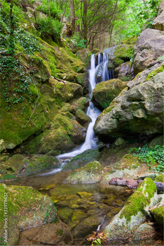 Cipresseta di Fontegreca