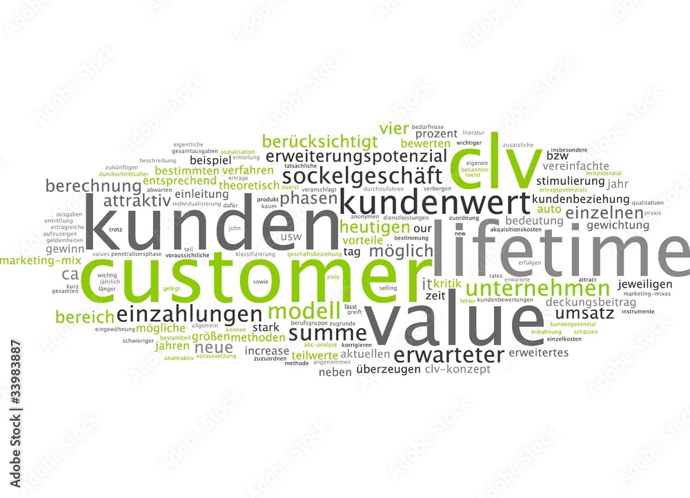 Customer Lifetime Value CLV Customer Lifetime Value CLV