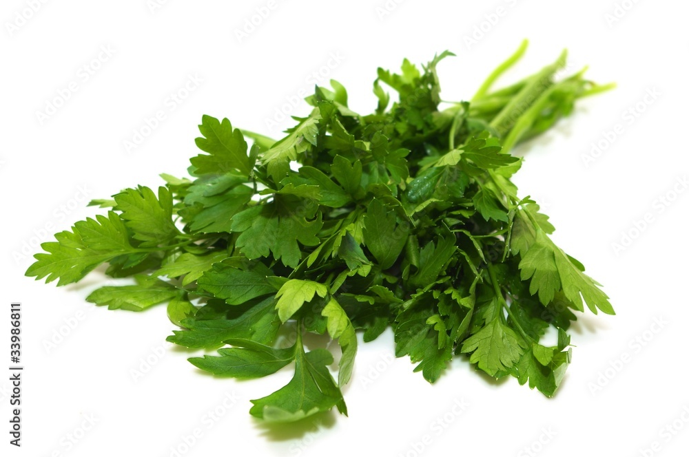 Parsley Parsley