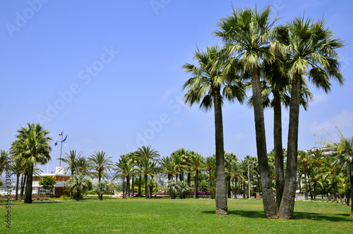 Jardin de la promenade de la Croisette à Cannes en France