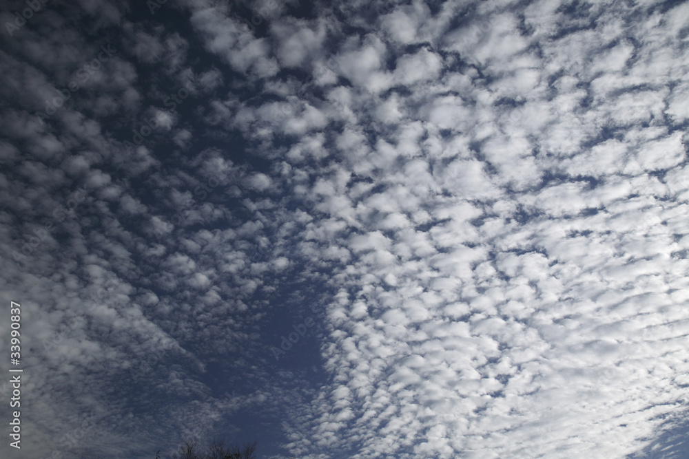 Obraz premium いわし雲