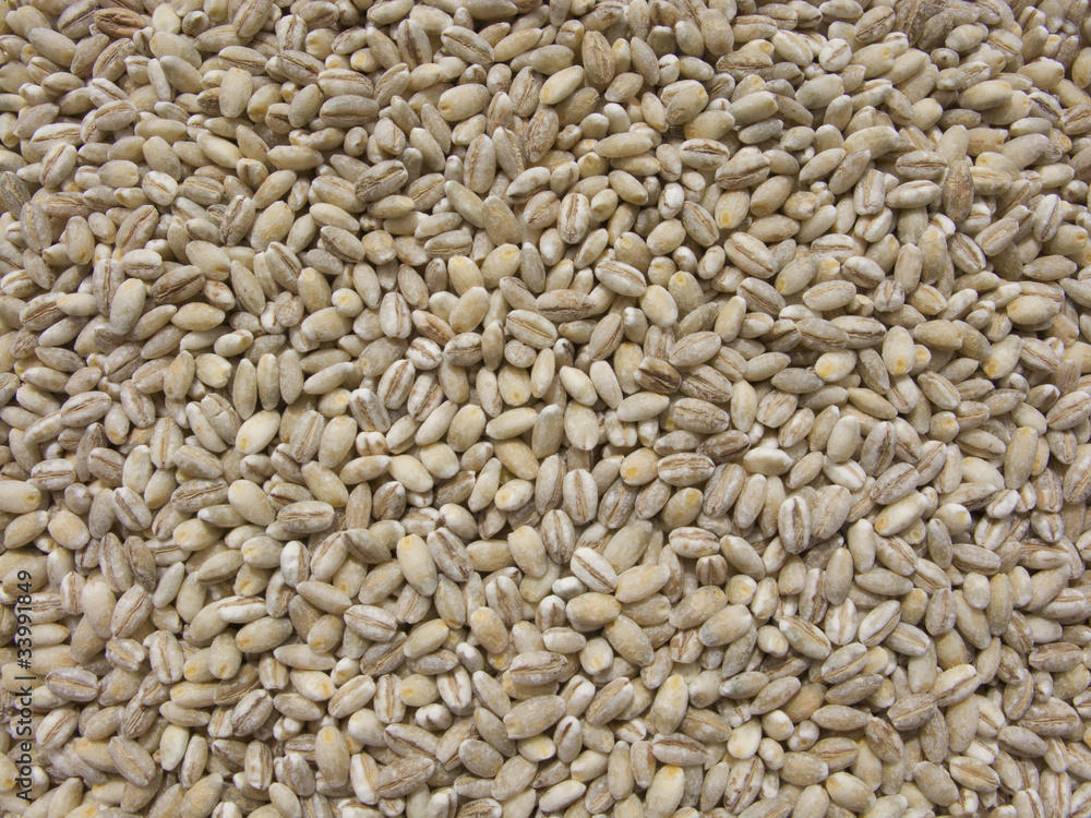 Pearl barley Pearl barley