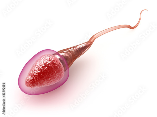 Obraz na płótnie Sperm model over white