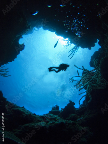 Scuba Diver in the caribbean sea