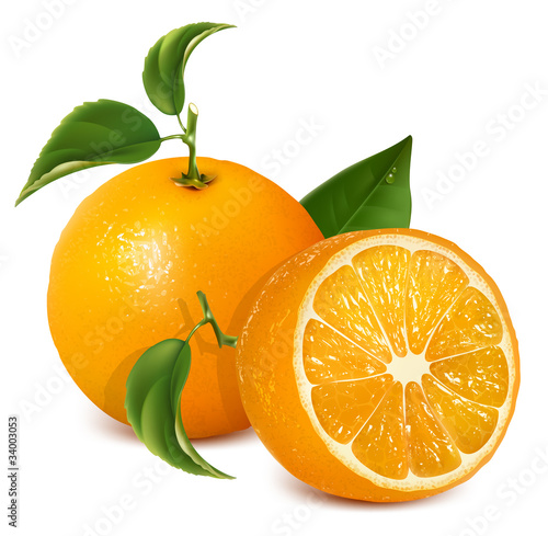 Vector fresh ripe oranges with leaves.