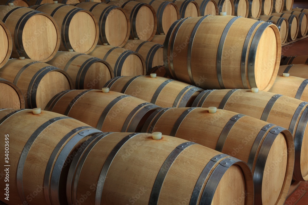 Weinkeller Barrique Rotwein Holzfässer Piemont, Italien