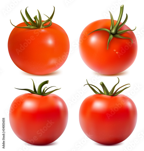 Tomato with water drops. Photo-realistic vector illustration.