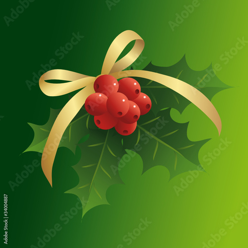 Mistelzweig mit Glanzschleife