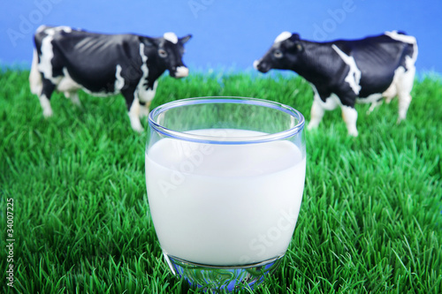 Kühe Miniatur auf der Weide und Milchglas
