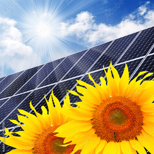 Solar energy panels on a sunflower field against sunny sky.