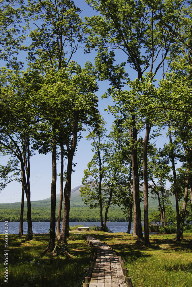 Obraz premium 板橋と駒ケ岳