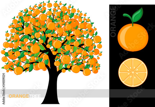 orange tree