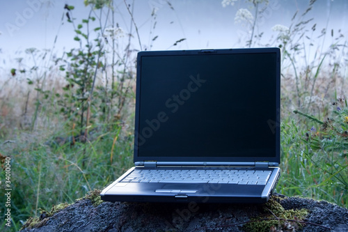 Laptop in the foggy field in early summer morning