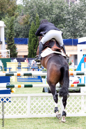 Equastrian competitor jumps from the back