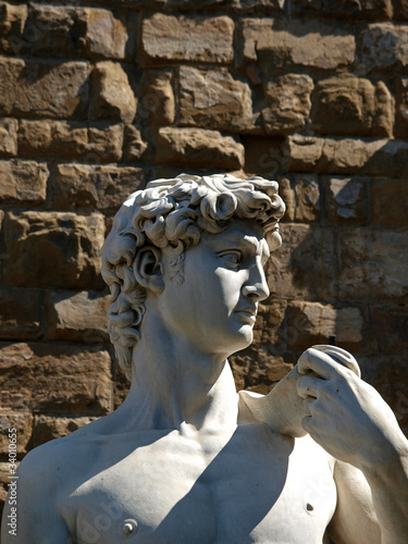 Fotografia Florence - statue of David by Michaelangelo.