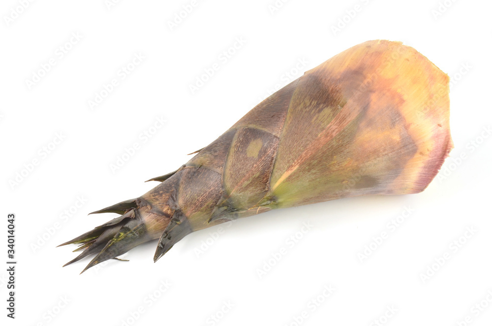 Obraz premium bamboo shoot isolated